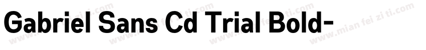 Gabriel Sans Cd Trial Bold字体转换